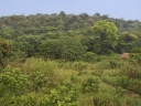 Filename=Oeganda_-_Kibale_Forest_-__Chimps_Nest_-_IMG_8580.jpg
Filesize=427KiB
Dimensions=1024x768
Date added=Dec 06, 2013 Oeganda_-_Kibale_Forest_-__Chimps_Nest_-_IMG_8580.jpg