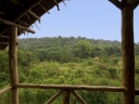 Filename=Oeganda_-_Kibale_Forest_-__Chimps_Nest_-_IMG_8581.jpg
Filesize=349KiB
Dimensions=1024x768
Date added=Dec 06, 2013 Oeganda_-_Kibale_Forest_-__Chimps_Nest_-_IMG_8581.jpg