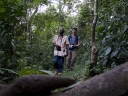 Filename=Oeganda_-_Kibale_Forest_-__Chimps_Nest_-_IMG_9110n.jpg
Filesize=465KiB
Dimensions=1024x768
Date added=Dec 06, 2013 Oeganda_-_Kibale_Forest_-__Chimps_Nest_-_IMG_9110n.jpg