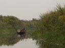 Filename=Oeganda_-_Lake_Victoria_-_Mbamba_-__IMG_0-7766.jpg
Filesize=269KiB
Dimensions=1024x768
Date added=Dec 06, 2013 Oeganda_-_Lake_Victoria_-_Mbamba_-__IMG_0-7766.jpg